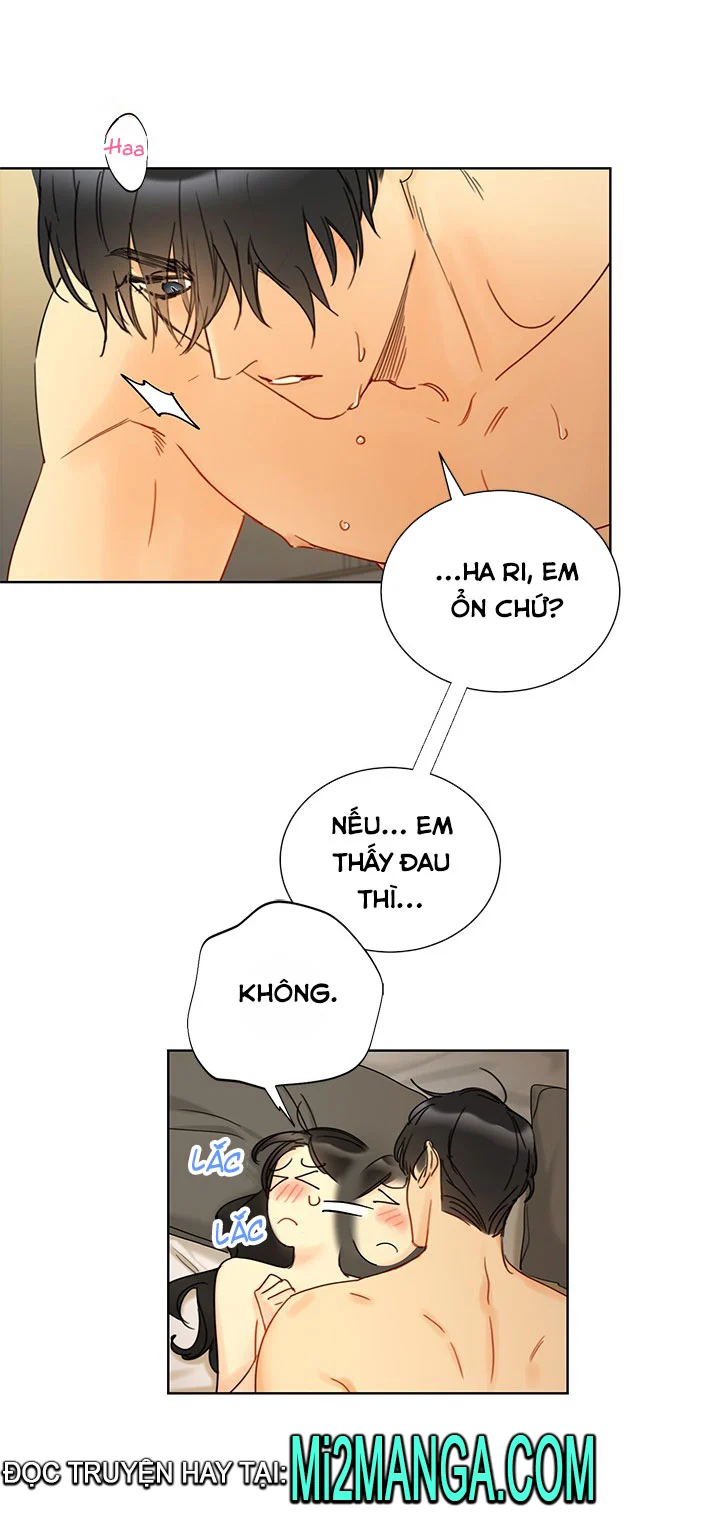 Hẹn Hò Chốn Công Sở (End) Chap 102 - Next Chap 103