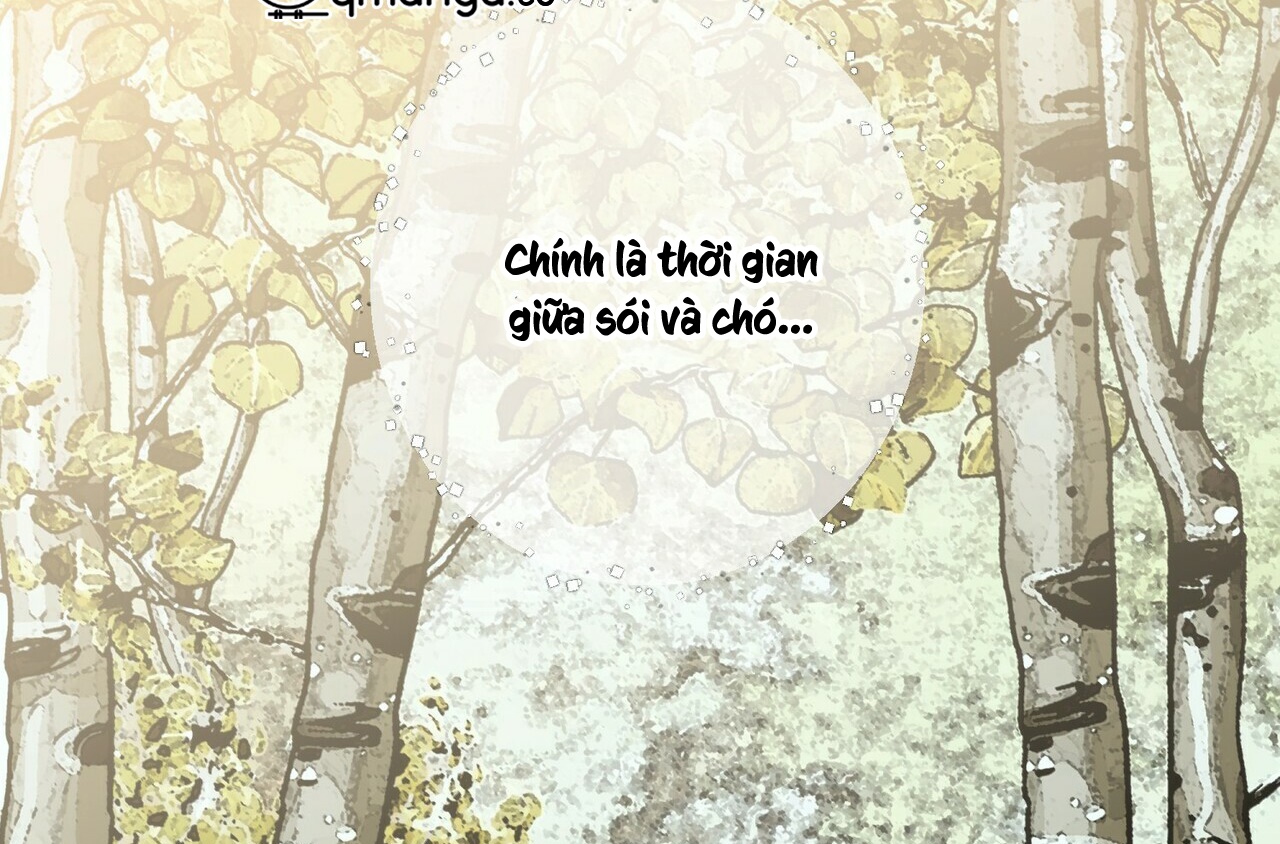 Thời Gian Giữa Sói Và Chó Chap 64 - Next Chap 65