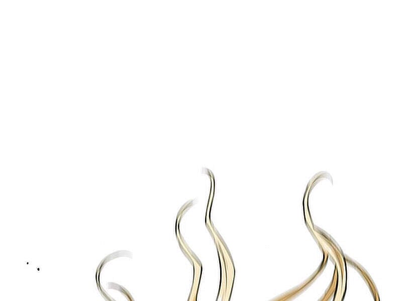 Druid Tại Ga Seoul Chap 15.5 - Next Chap 16.5