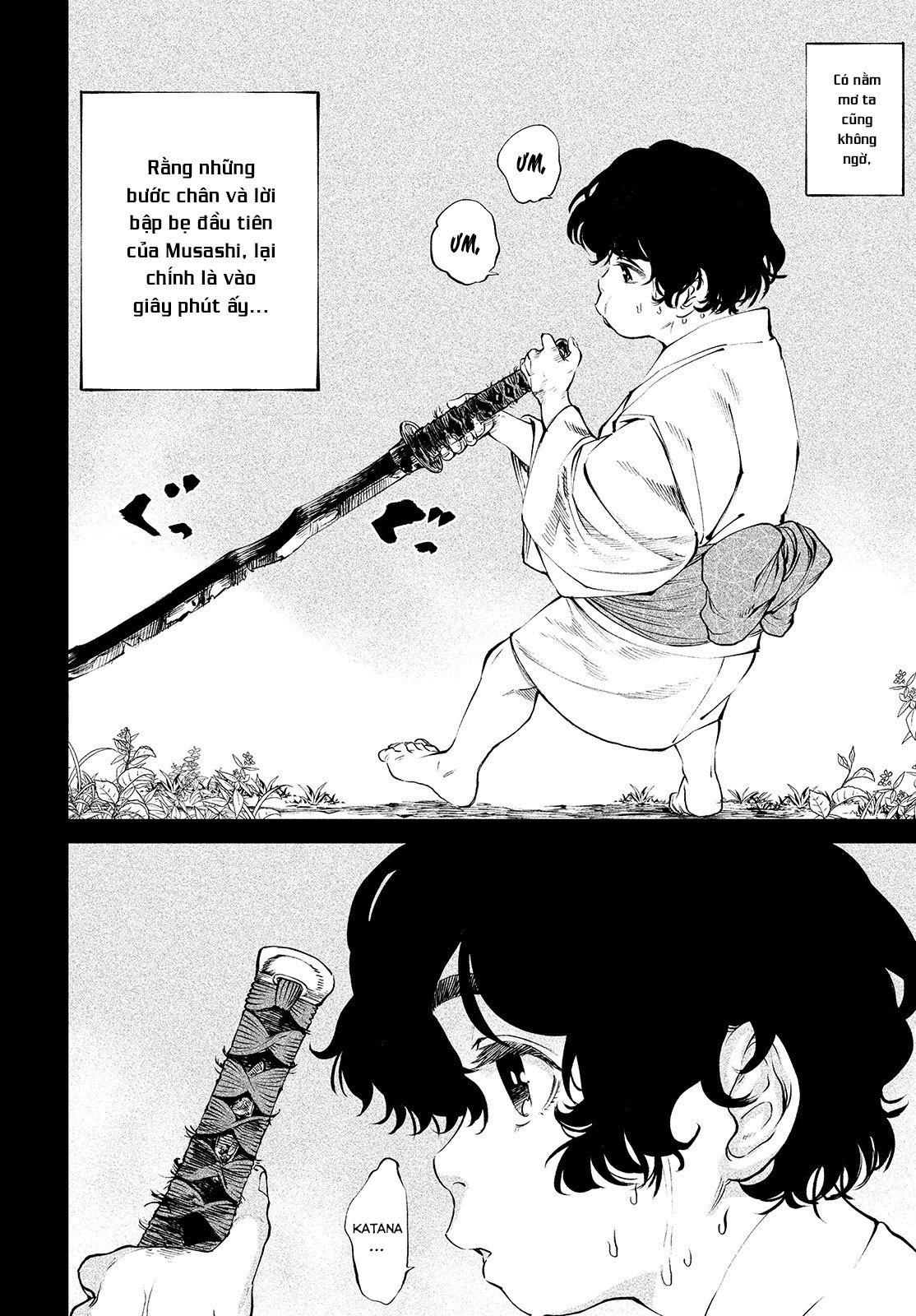 Tenkaichi - Thiên Hạ Đệ Nhất Võ Sĩ Đại Hội Chap 3 - Next Chap 4