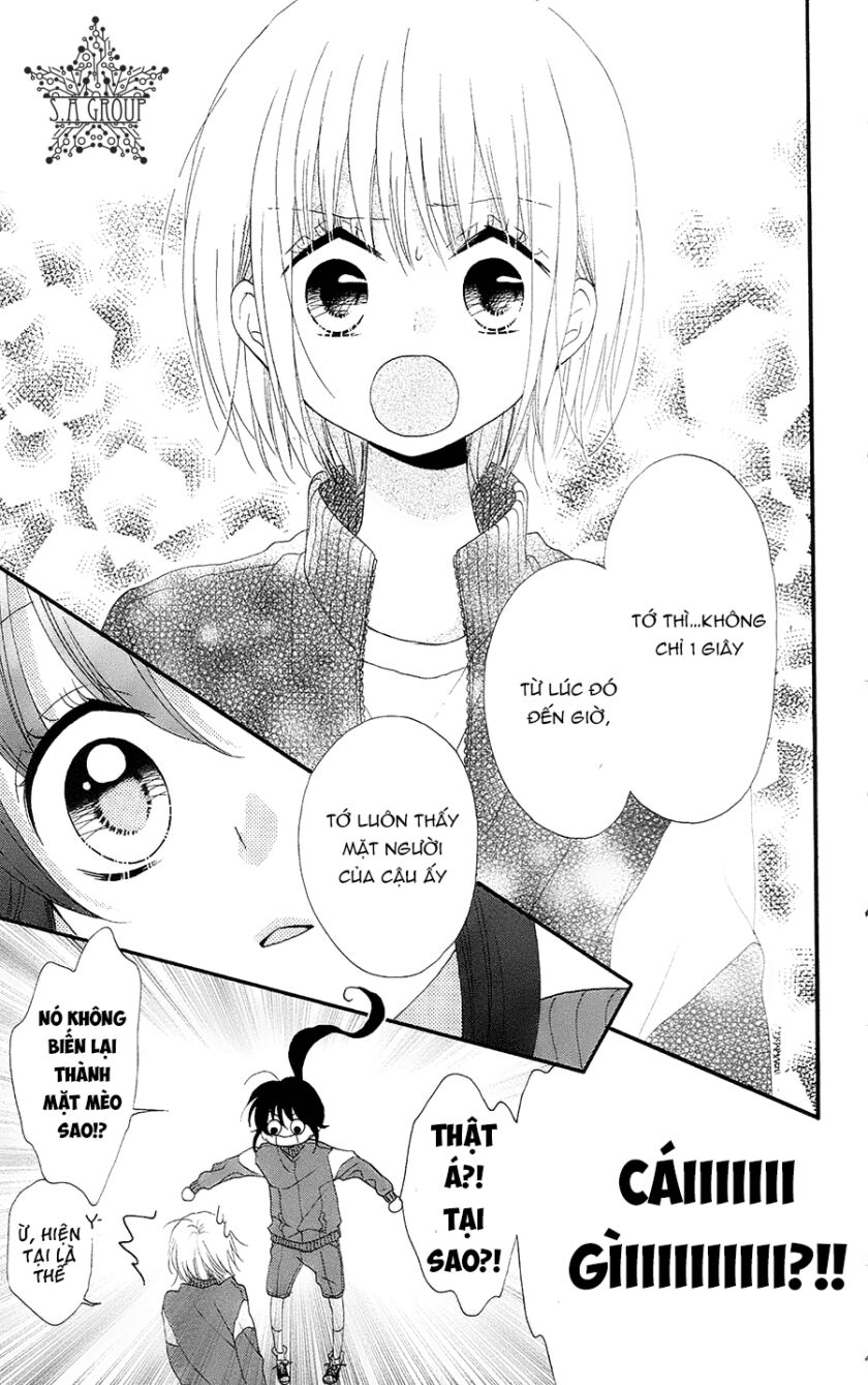 Nekota No Koto Ga Ki Ni Natte Shikatanai Chap 28 - Next Chap 29