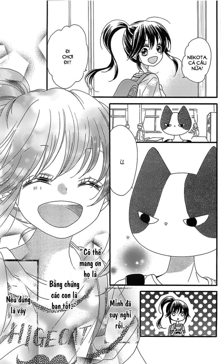 Nekota No Koto Ga Ki Ni Natte Shikatanai Chap 7 - Next Chap 8