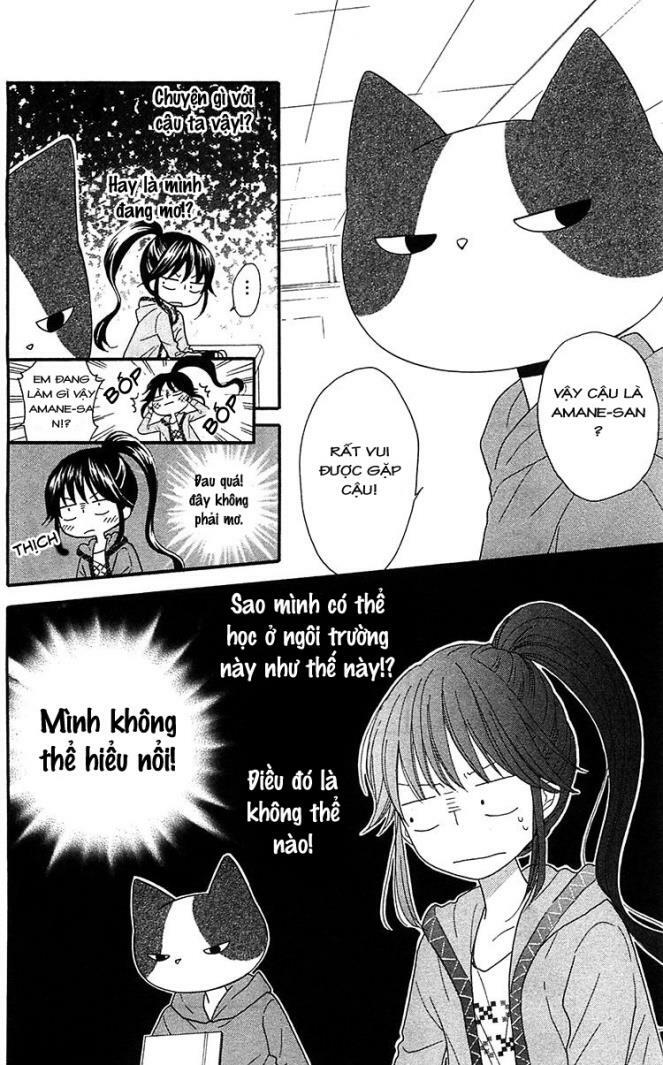 Nekota No Koto Ga Ki Ni Natte Shikatanai Chap 1 - Next Chap 2