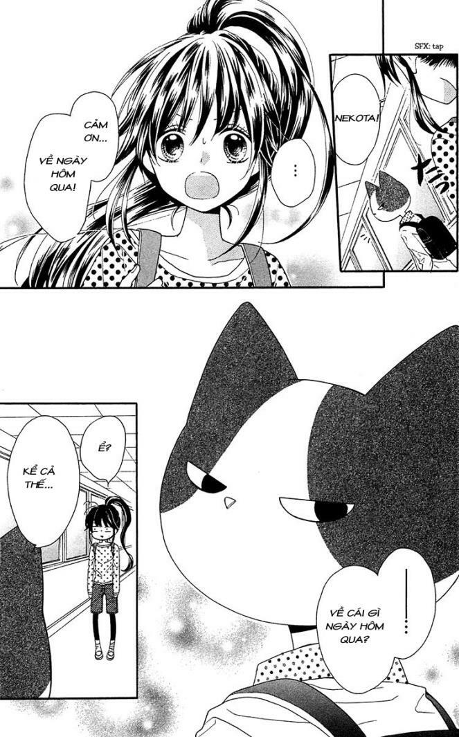 Nekota No Koto Ga Ki Ni Natte Shikatanai Chap 1 - Next Chap 2