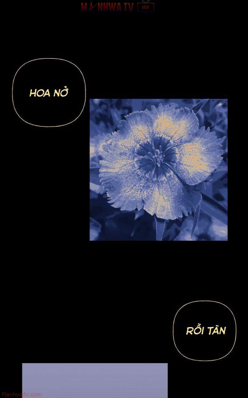 Trọng Sinh Mạc Thế Chap 50 - Next Chap 51