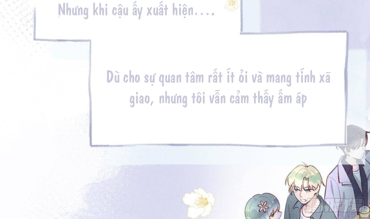 Tình Yêu Mạng Ngọt Ngào Lật Xe Rồi! Chap 49 - Next Chap 50