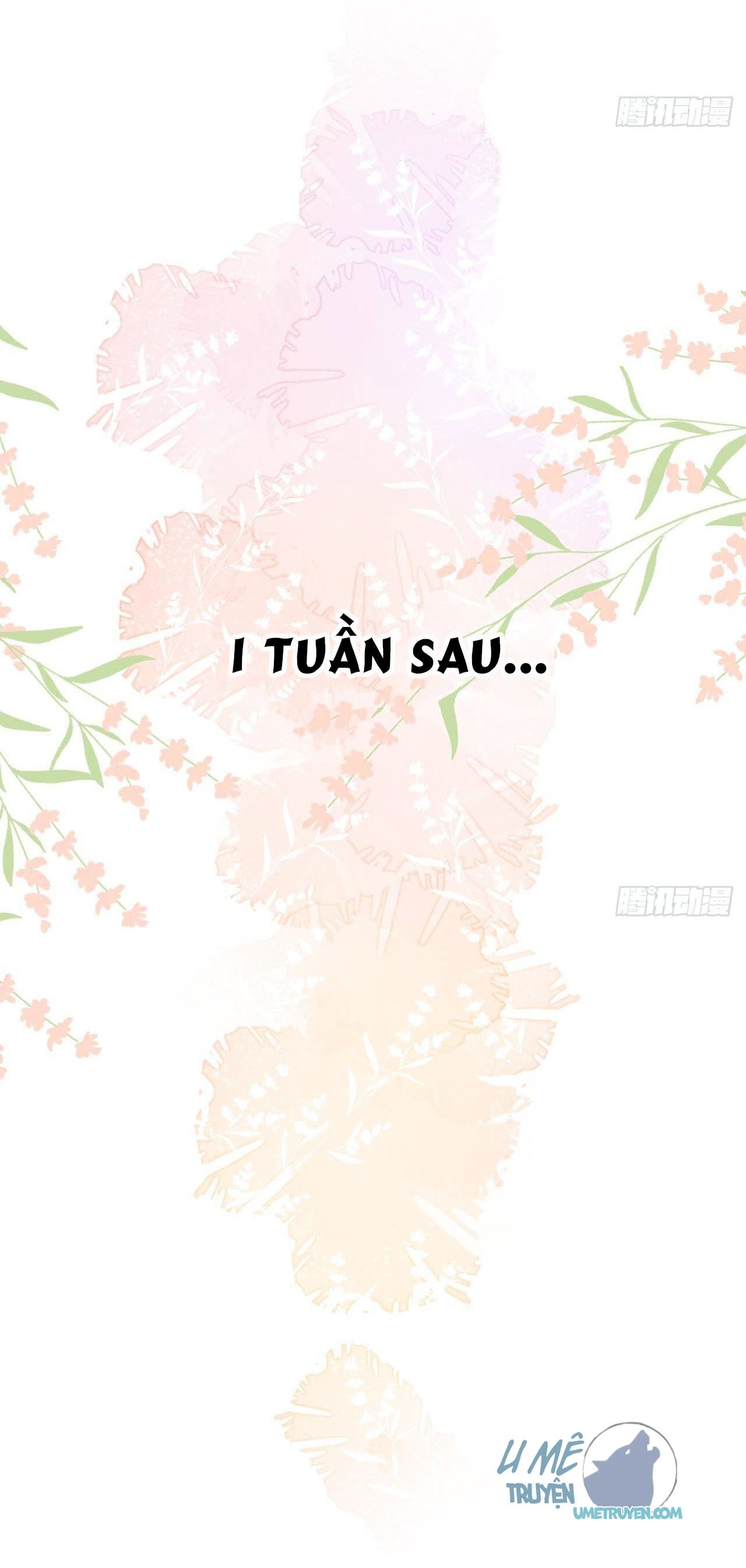 Tình Yêu Mạng Ngọt Ngào Lật Xe Rồi! Chap 16 - Next Chap 17