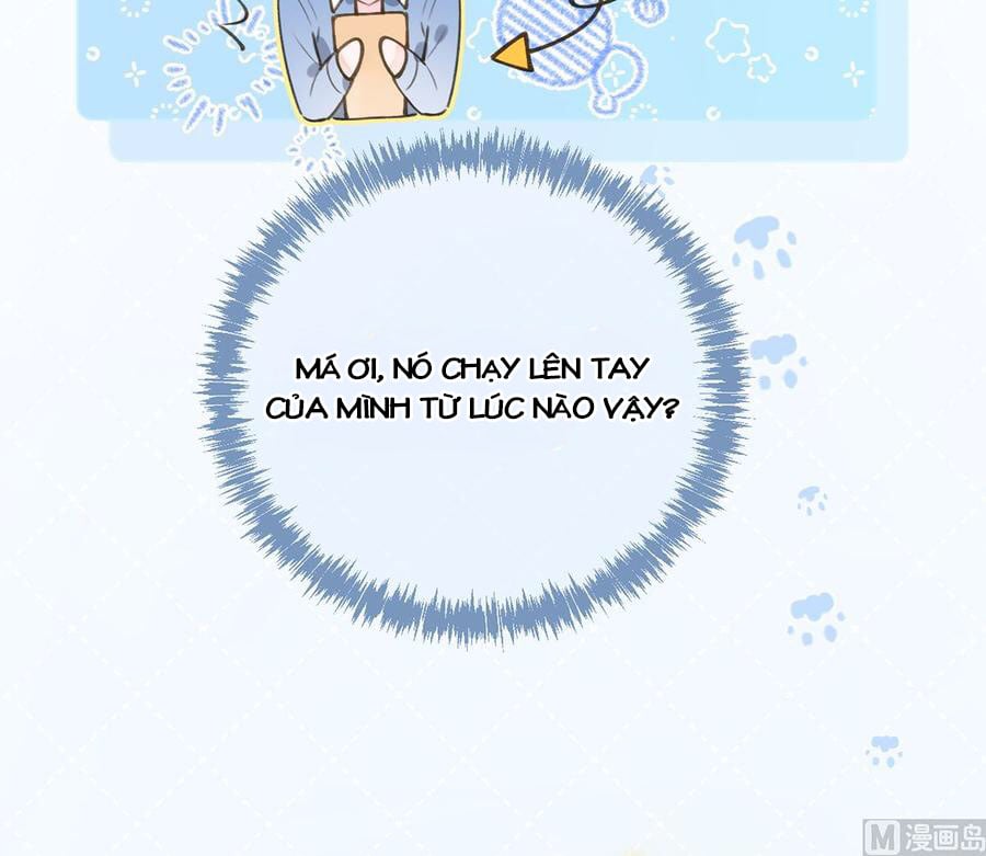 Tình Yêu Mạng Ngọt Ngào Lật Xe Rồi! Chap 57 - Next Chap 58