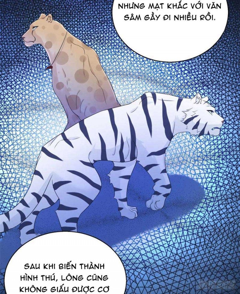 Thảnh Thơi Thú Thế Chủng Chủng Điền, Sinh Sinh Tể Chap 283 - Next Chap 284