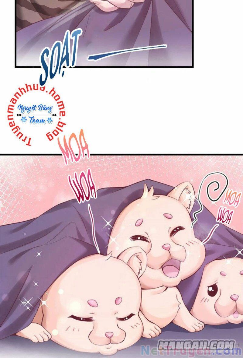 Thảnh Thơi Thú Thế Chủng Chủng Điền, Sinh Sinh Tể Chap 210 - Next Chap 211