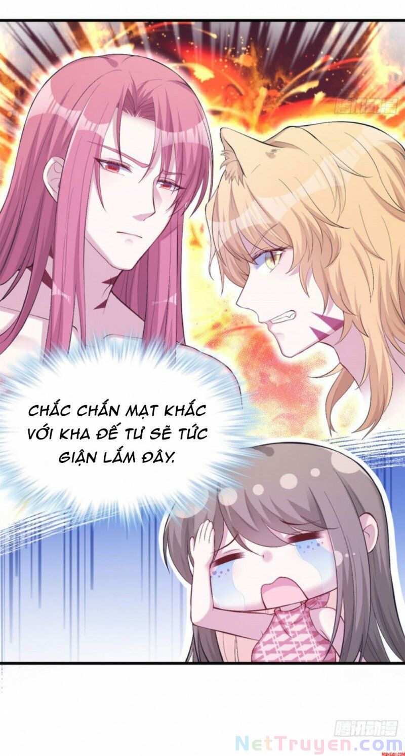 Thảnh Thơi Thú Thế Chủng Chủng Điền, Sinh Sinh Tể Chap 208 - Next Chap 209