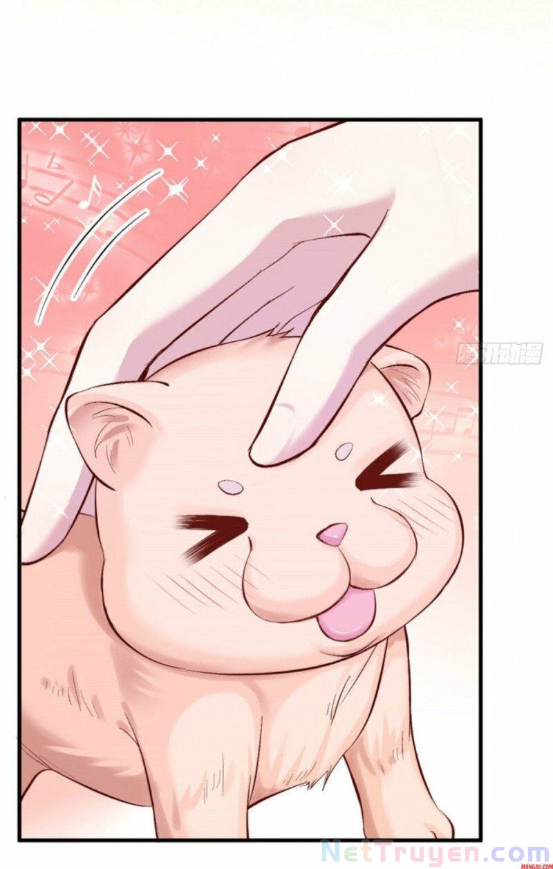 Thảnh Thơi Thú Thế Chủng Chủng Điền, Sinh Sinh Tể Chap 208 - Next Chap 209