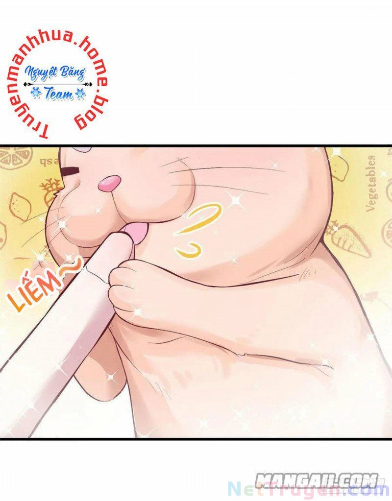 Thảnh Thơi Thú Thế Chủng Chủng Điền, Sinh Sinh Tể Chap 206 - Next Chap 207