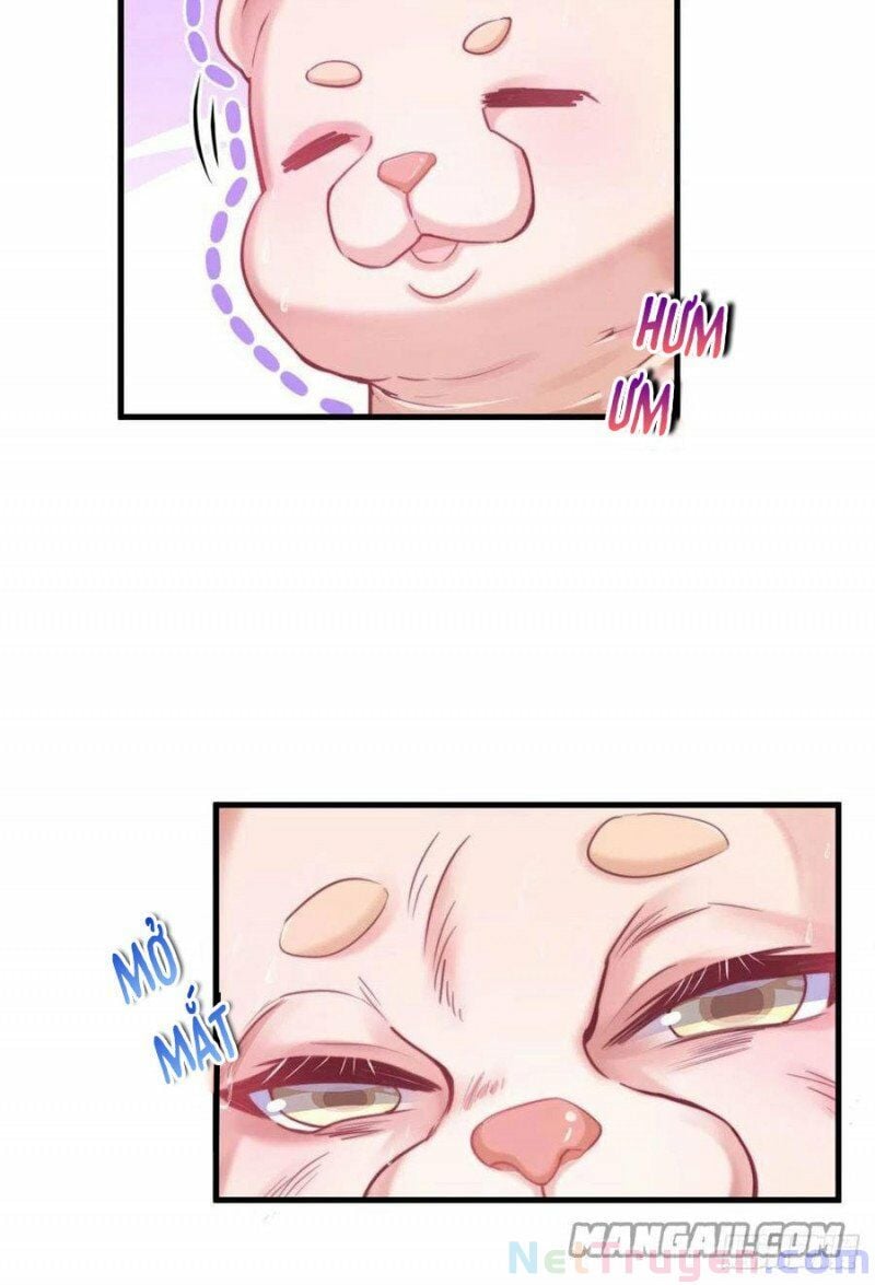 Thảnh Thơi Thú Thế Chủng Chủng Điền, Sinh Sinh Tể Chap 205 - Next Chap 206