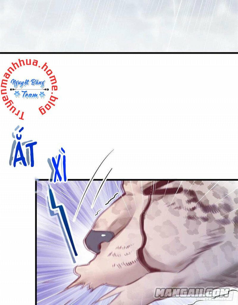 Thảnh Thơi Thú Thế Chủng Chủng Điền, Sinh Sinh Tể Chap 204 - Next Chap 205