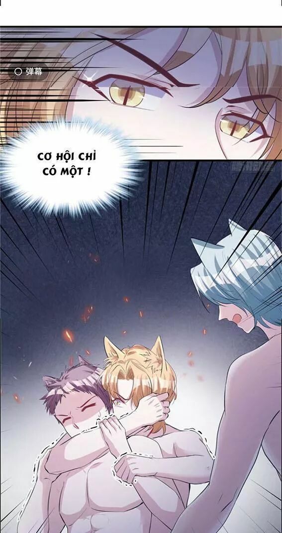 Thảnh Thơi Thú Thế Chủng Chủng Điền, Sinh Sinh Tể Chap 96 - Next Chap 97