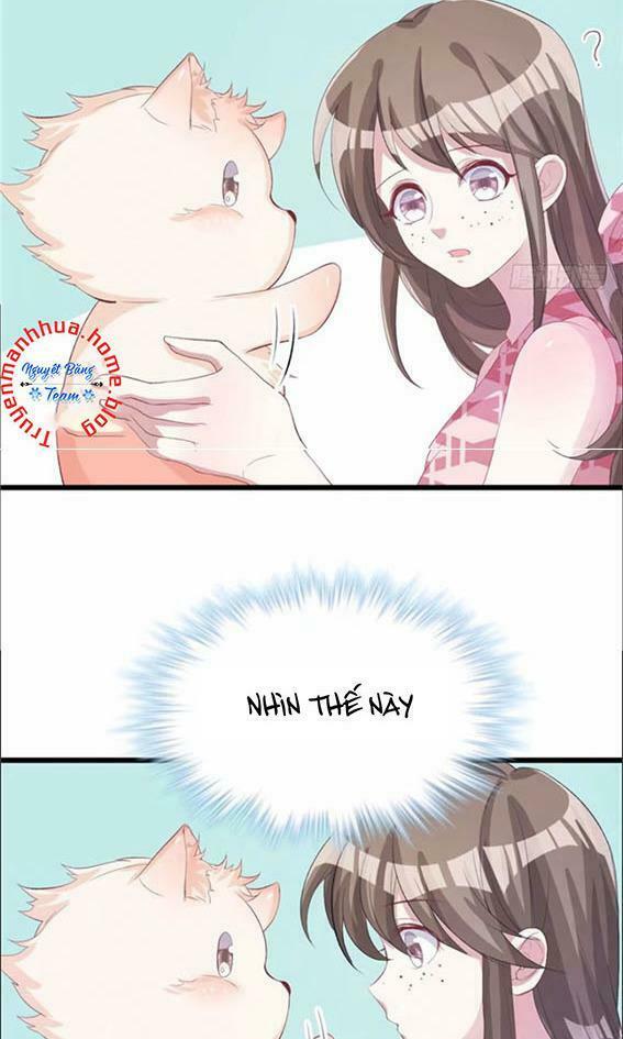 Thảnh Thơi Thú Thế Chủng Chủng Điền, Sinh Sinh Tể Chap 74 - Next Chap 75