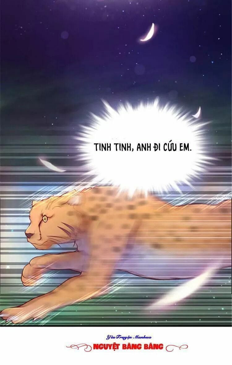 Thảnh Thơi Thú Thế Chủng Chủng Điền, Sinh Sinh Tể Chap 25 - Next Chap 26