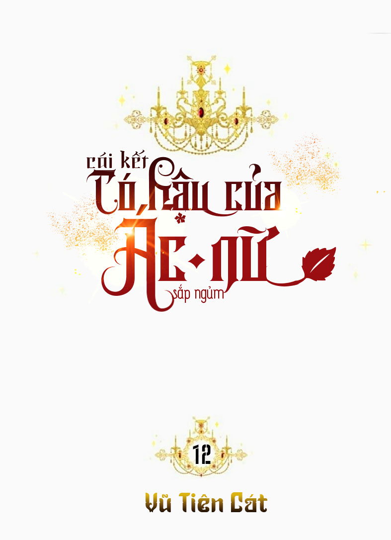 Kết Thúc Có Hậu Của Nhân Vật Phản Diện Chap 12 - Next Chap 13