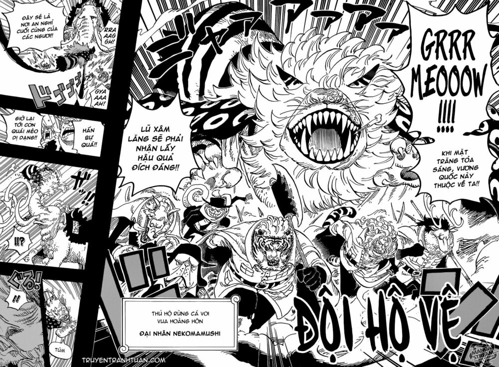 Đảo Hải Tặc Chap 809 - Next Chap 810