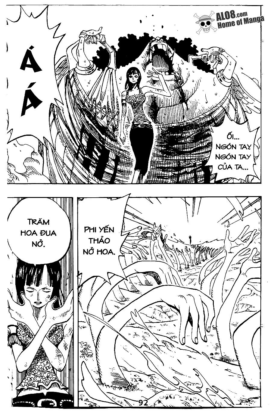 Đảo Hải Tặc Chap 265 - Next Chap 266