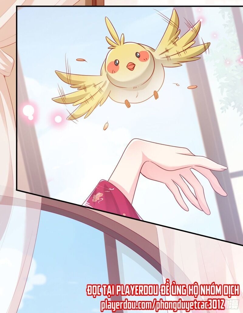 Hệ Thống Xuyên Nhanh: Ác Nam Không Dễ Chọc Chap 21 - Next Chap 22