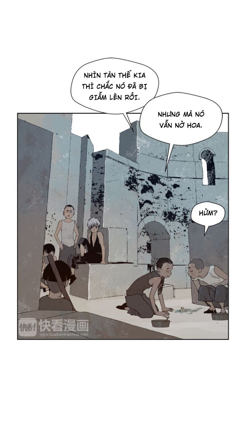 Vinh Quang Kiếm Chap 31 - Next Chap 32