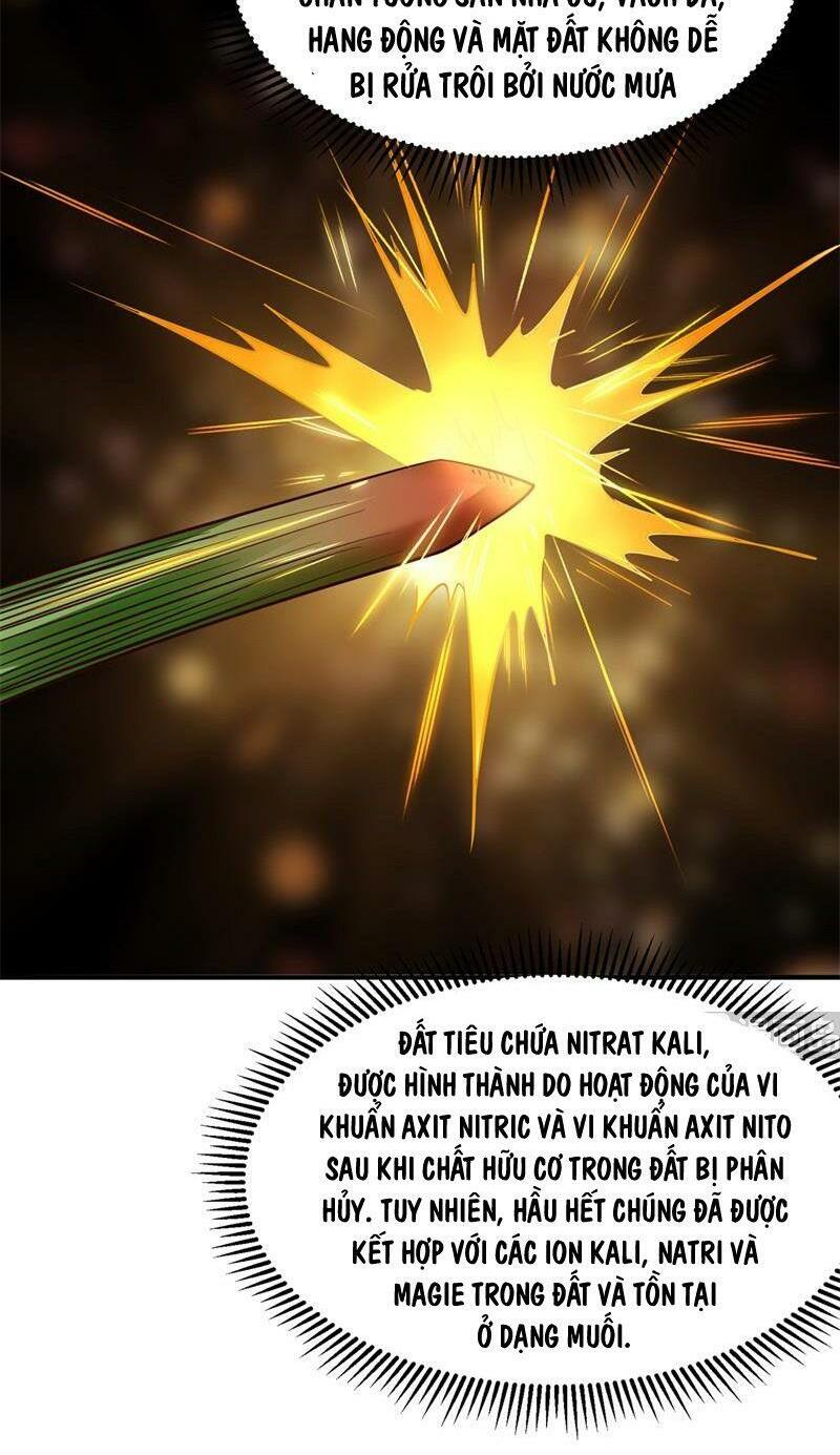 Tôi Sống Trên Hoang Đảo Cùng Các Em Gái Chap 58 - Next Chap 59