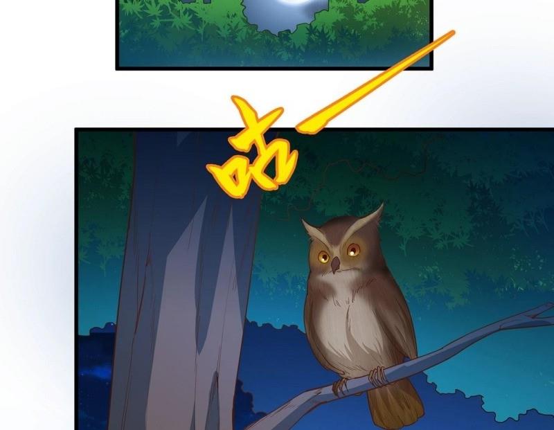 Tôi Sống Trên Hoang Đảo Cùng Các Em Gái Chap 13 - Next Chap 14