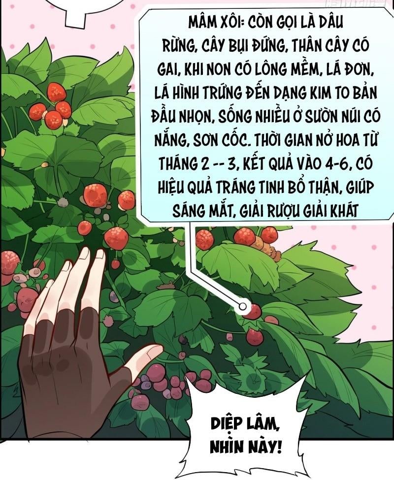 Tôi Sống Trên Hoang Đảo Cùng Các Em Gái Chap 7 - Next Chap 8