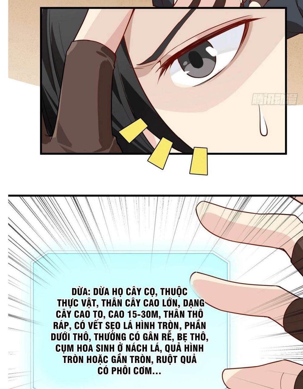 Tôi Sống Trên Hoang Đảo Cùng Các Em Gái Chap 0 - Next Chap 1