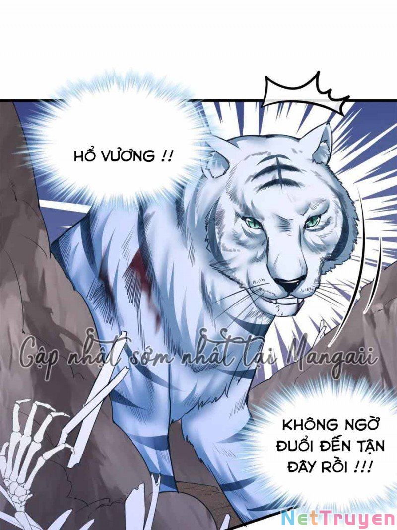Thảnh Thơi Thú Thế Chủng Chủng Điền, Sinh Sinh Tể Chap 377 - Next Chap 378