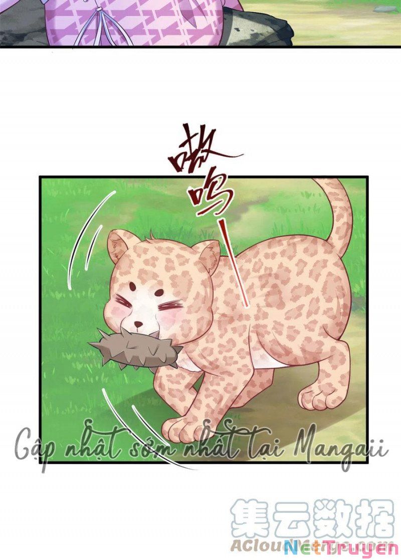 Thảnh Thơi Thú Thế Chủng Chủng Điền, Sinh Sinh Tể Chap 375 - Next Chap 376