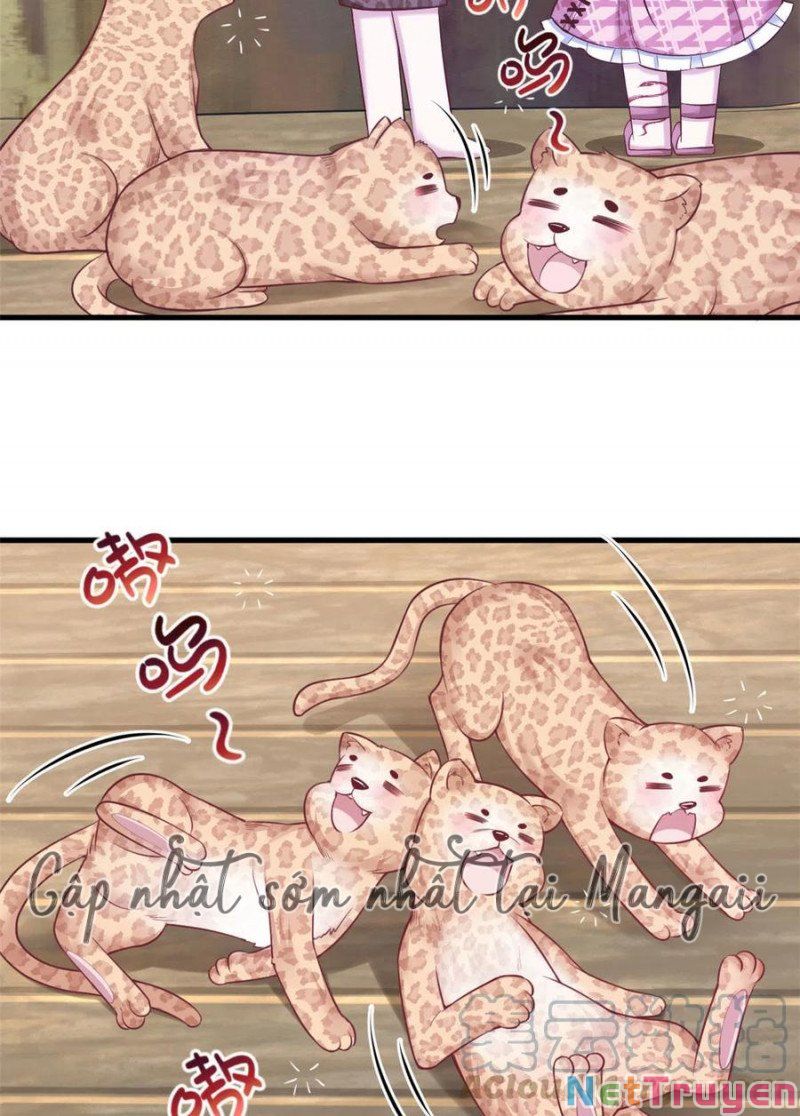 Thảnh Thơi Thú Thế Chủng Chủng Điền, Sinh Sinh Tể Chap 374 - Next Chap 375