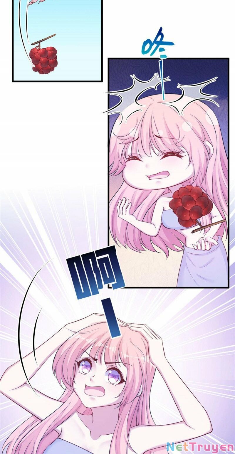 Thảnh Thơi Thú Thế Chủng Chủng Điền, Sinh Sinh Tể Chap 393 - Next Chap 394