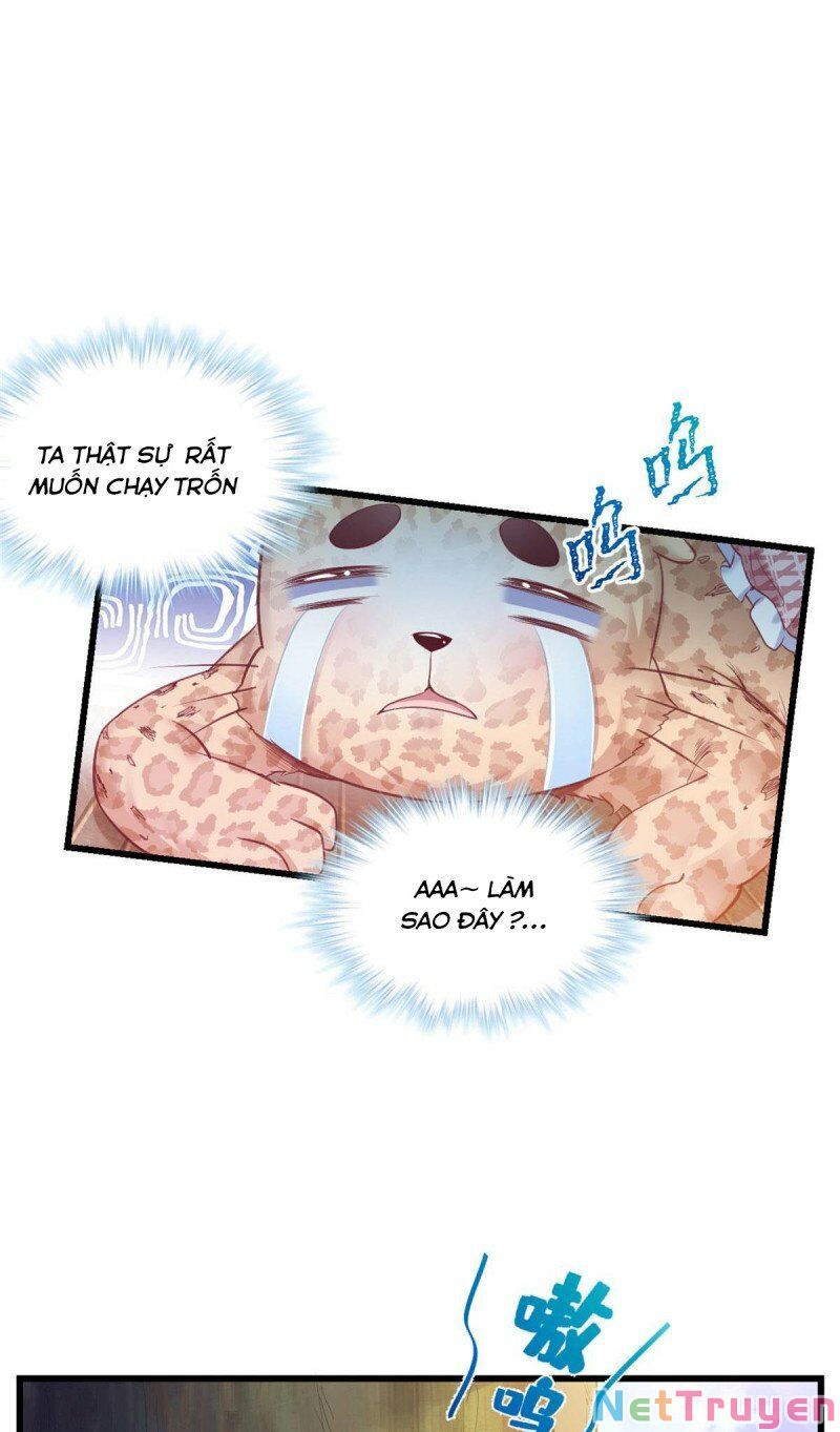 Thảnh Thơi Thú Thế Chủng Chủng Điền, Sinh Sinh Tể Chap 424 - Next Chap 425