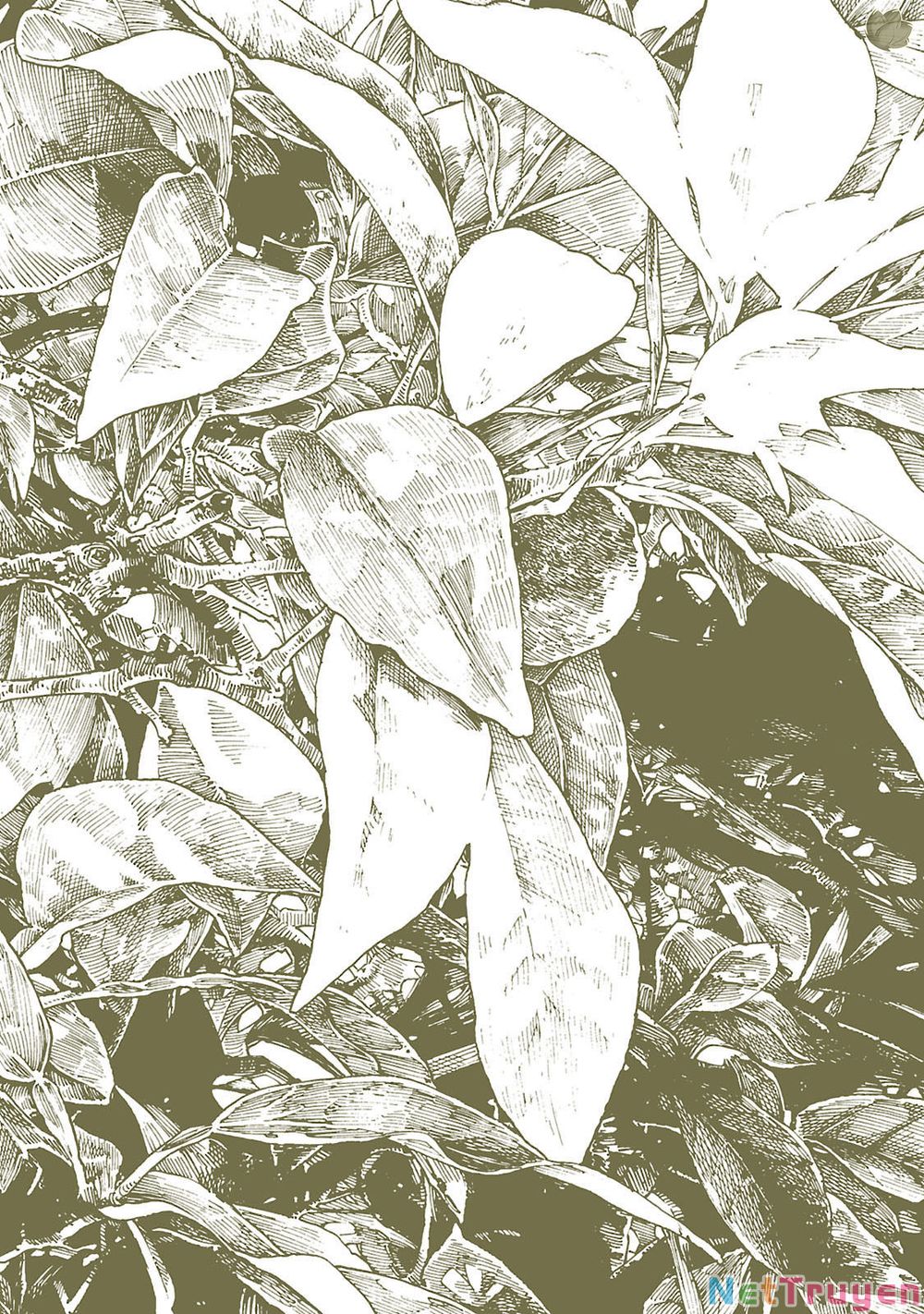 Cuộc Sống Tí Hon Trong Rừng Sâu. Chap 27 - Next Chap 28