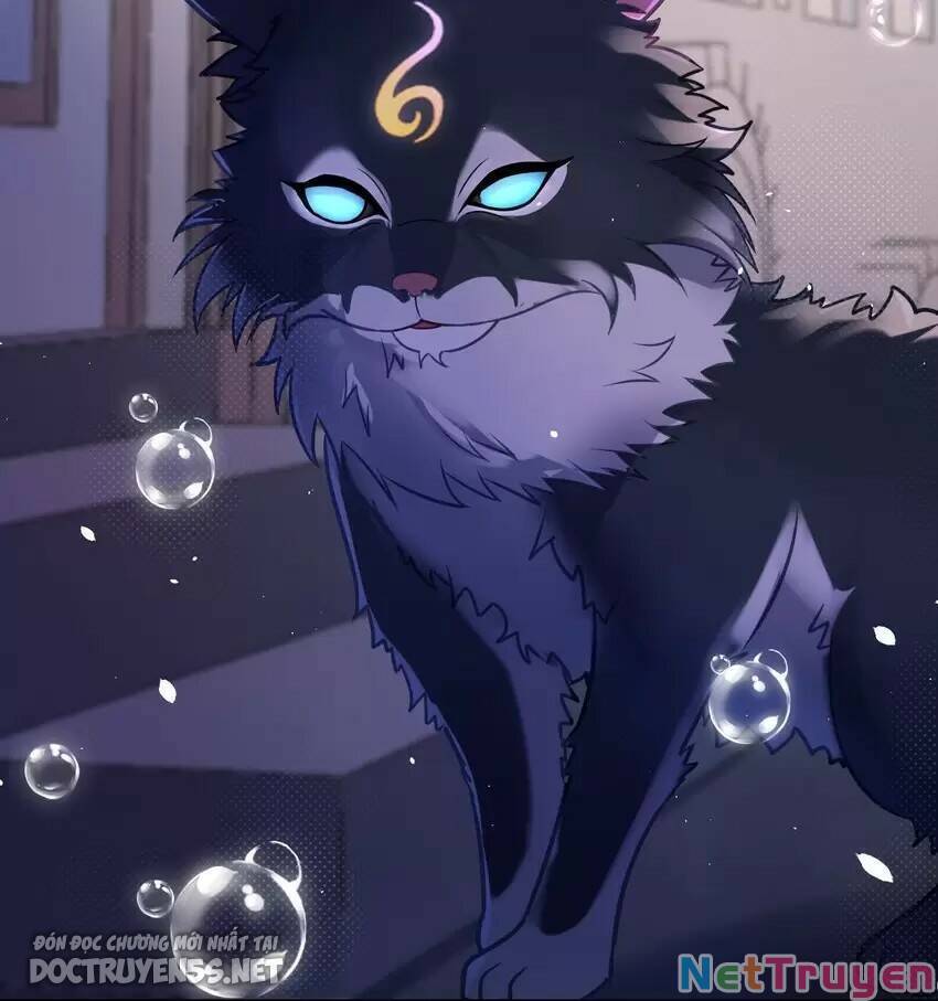 Bạn Gái Hoa Khôi Là Cương Thi?! Chap 11 - Next Chap 12