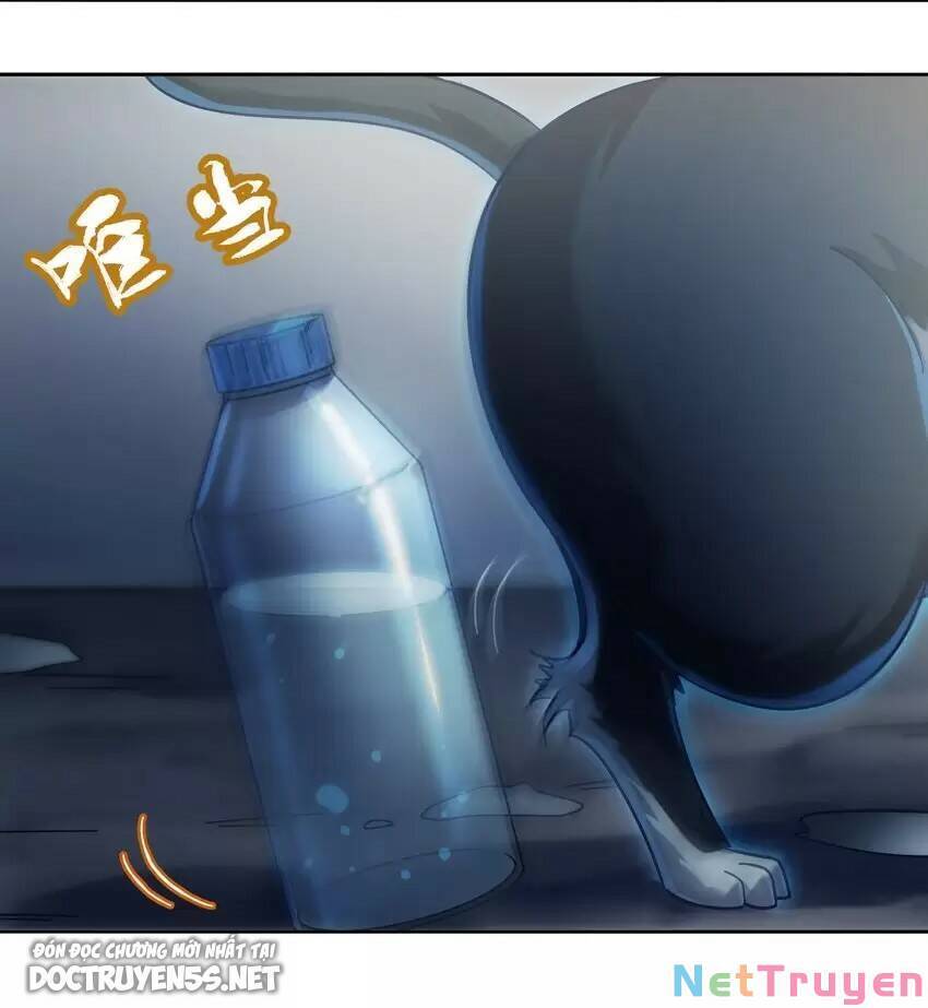 Bạn Gái Hoa Khôi Là Cương Thi?! Chap 11 - Next Chap 12