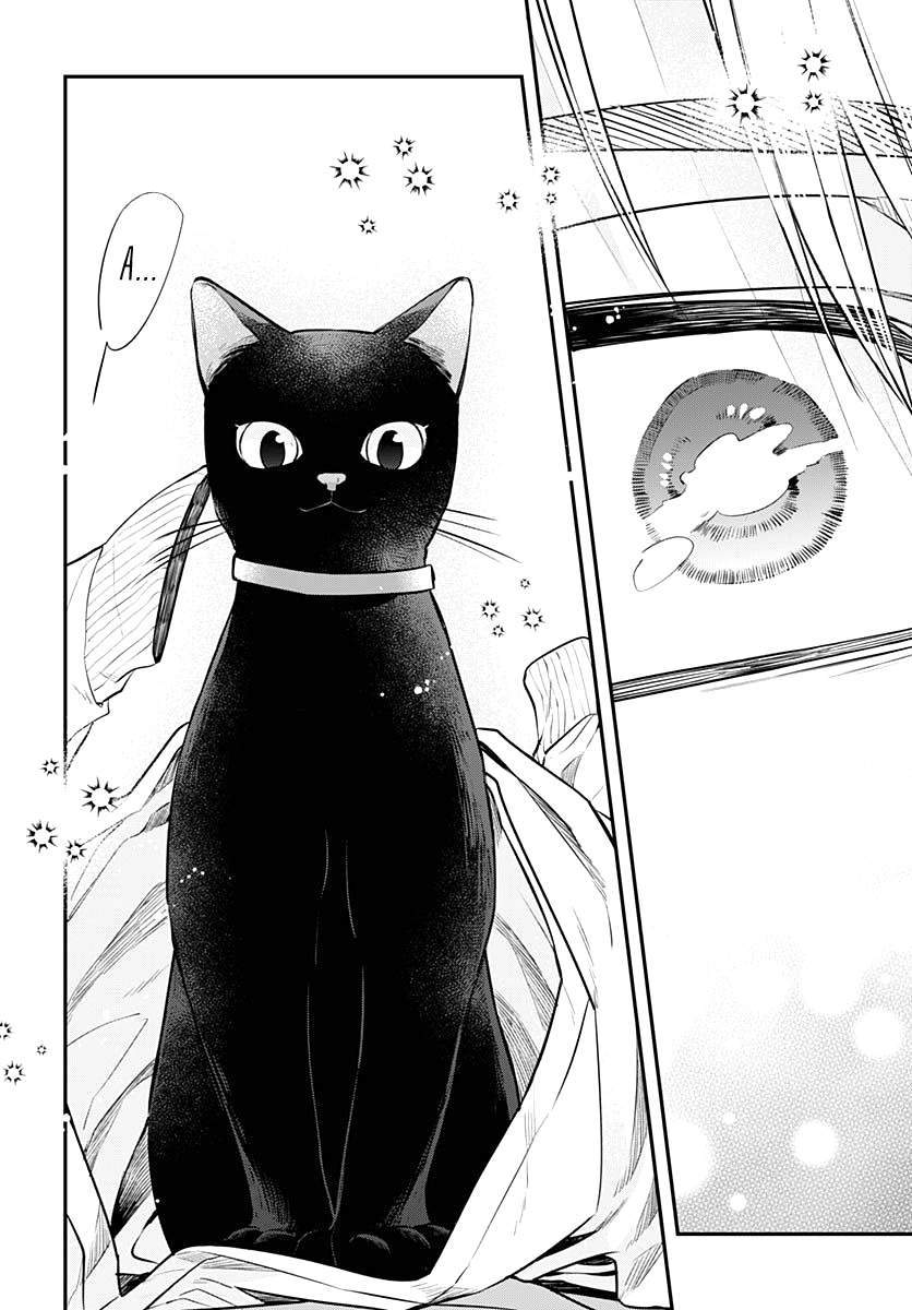 Mi-Chan Wa Kawaretai Chap 2 - Next Chap 3