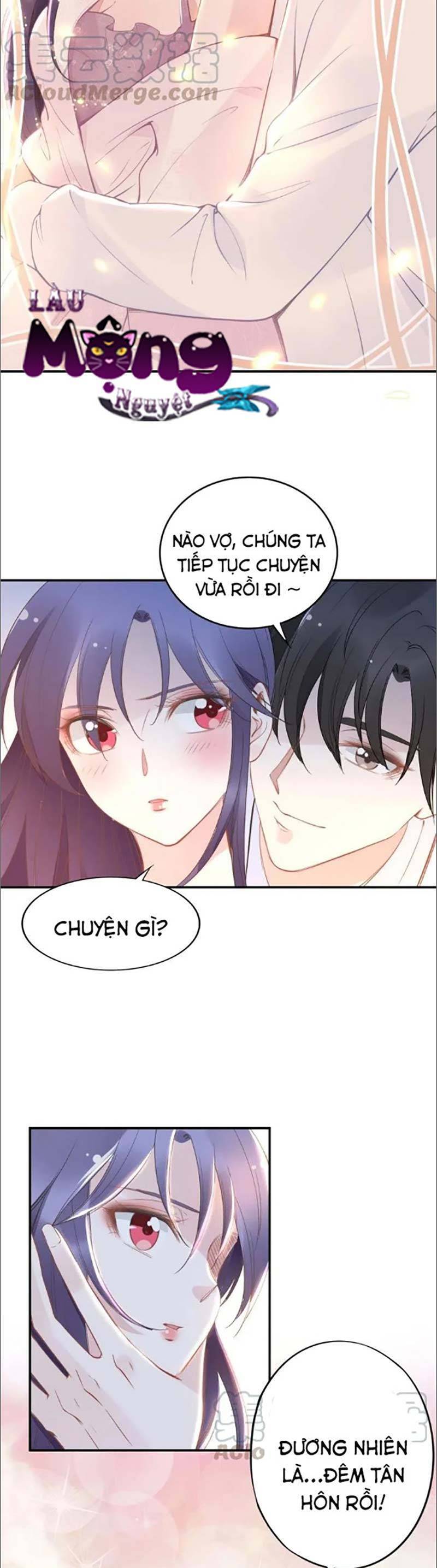 Quyền Thiểu, Nhĩ Lão Bà Yêu Bào Liễu Chap 41 - Next Chap 42