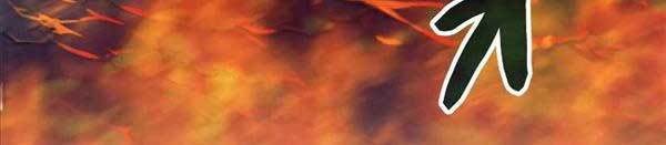 Tôi Là Thợ Săn Cấp Ex Chap 16 - Next Chap 17