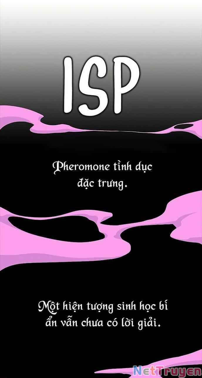 Kẻ Ngoại Lai Ở Vùng Đất Bị Ruồng Bỏ Chap 8 - Next Chap 9