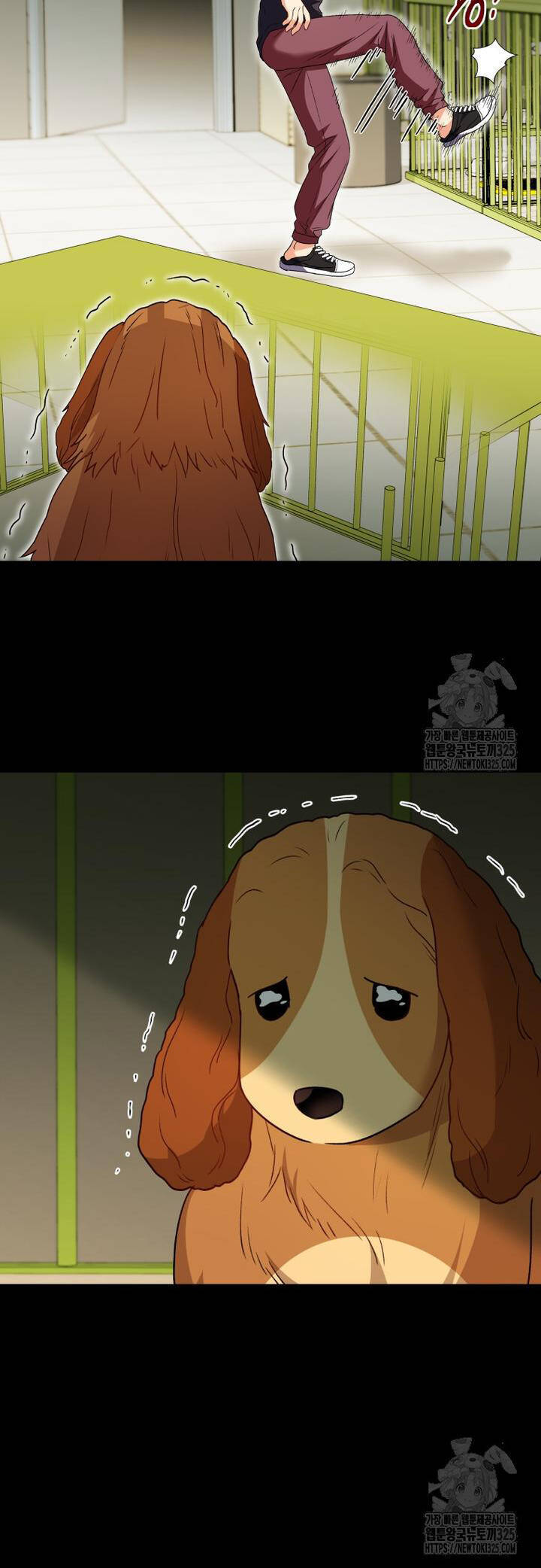 Xin Chào! Bác Sĩ Thú Y Chap 43 - Next Chap 44