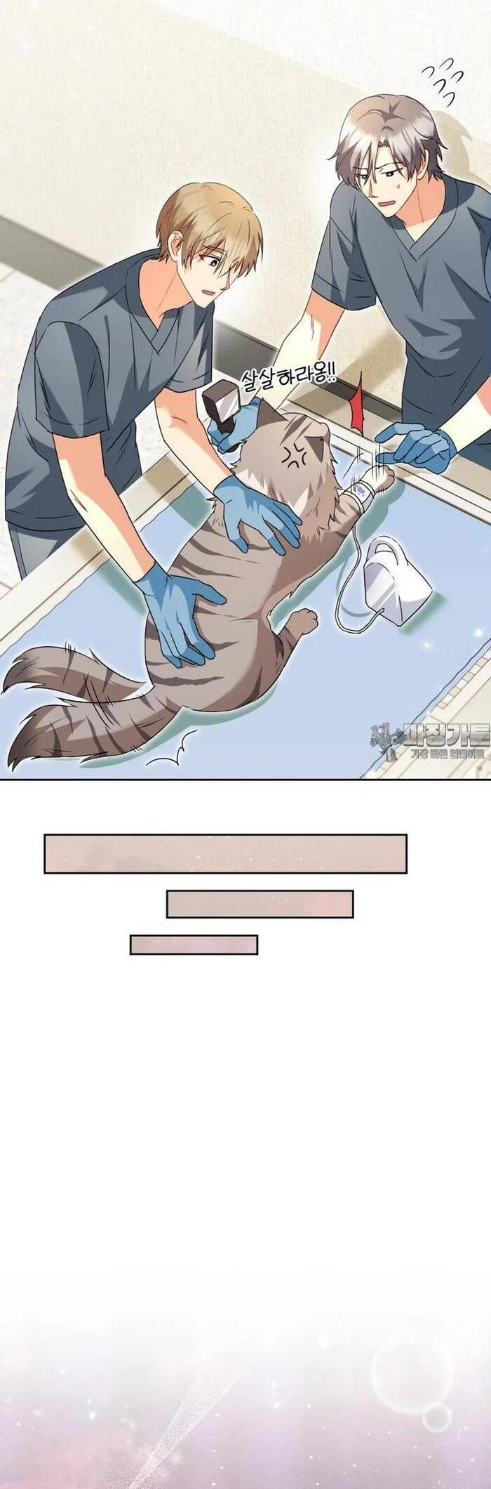 Xin Chào! Bác Sĩ Thú Y Chap 52 - Next Chap 53
