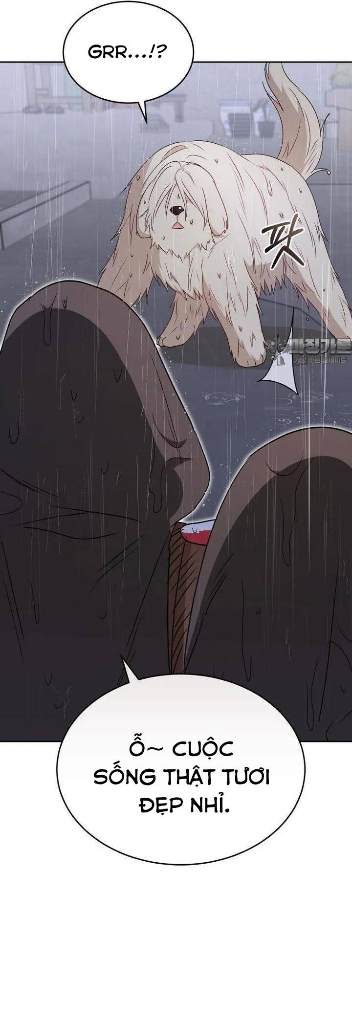 Xin Chào! Bác Sĩ Thú Y Chap 57 - Next Chap 58