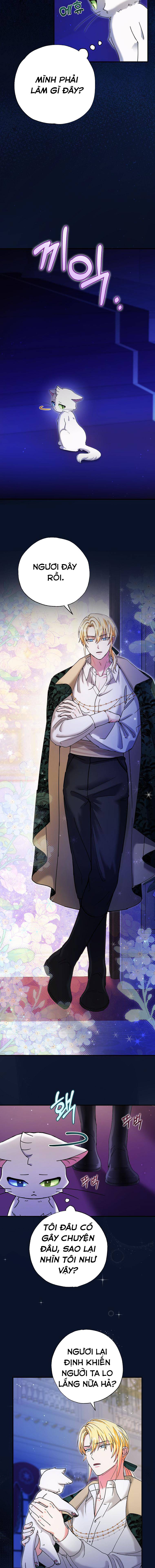 Trở Thành Miêu Nữ Của Hoàng Đế Chap 9 - Next Chap 10