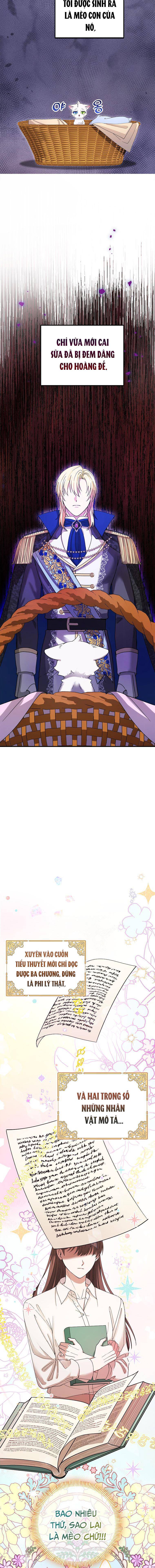 Trở Thành Miêu Nữ Của Hoàng Đế Chap 2 - Next Chap 3