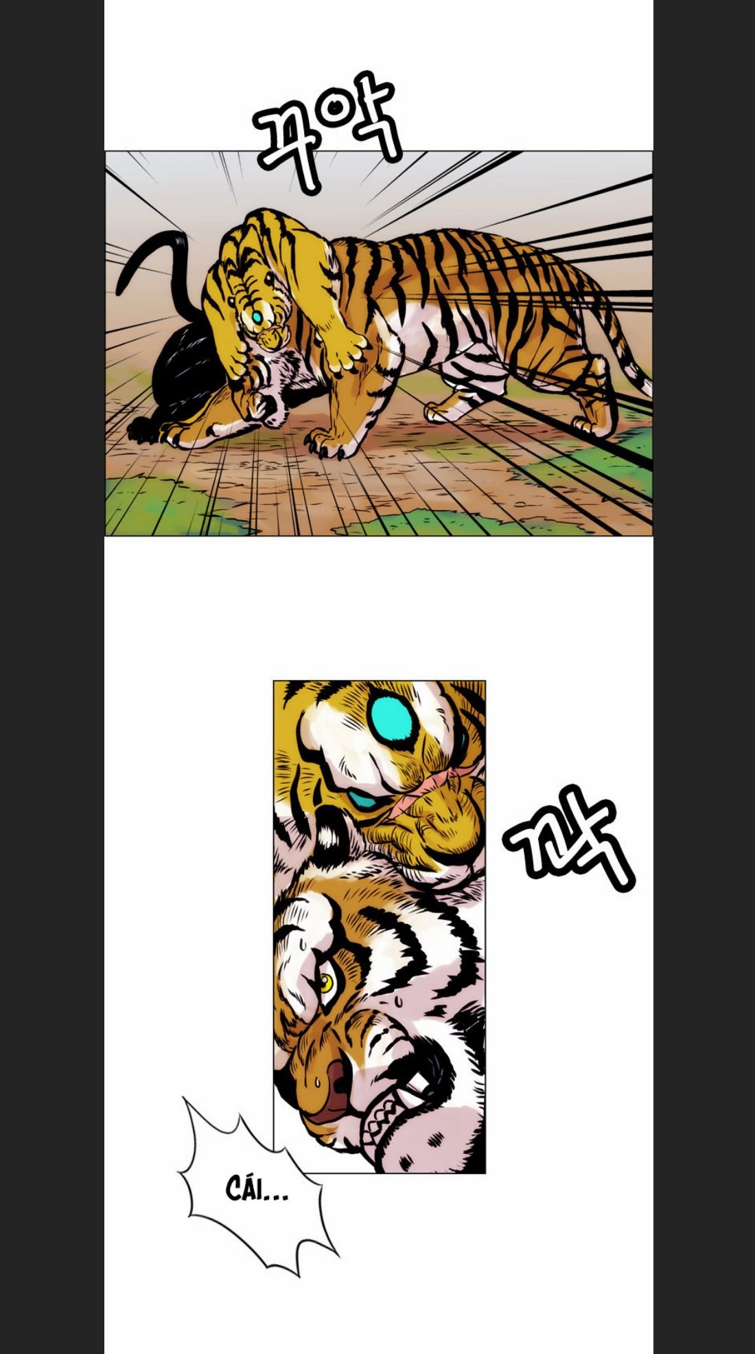 Anh Trai Tôi Là Hổ Chap 13 - Next Chap 14