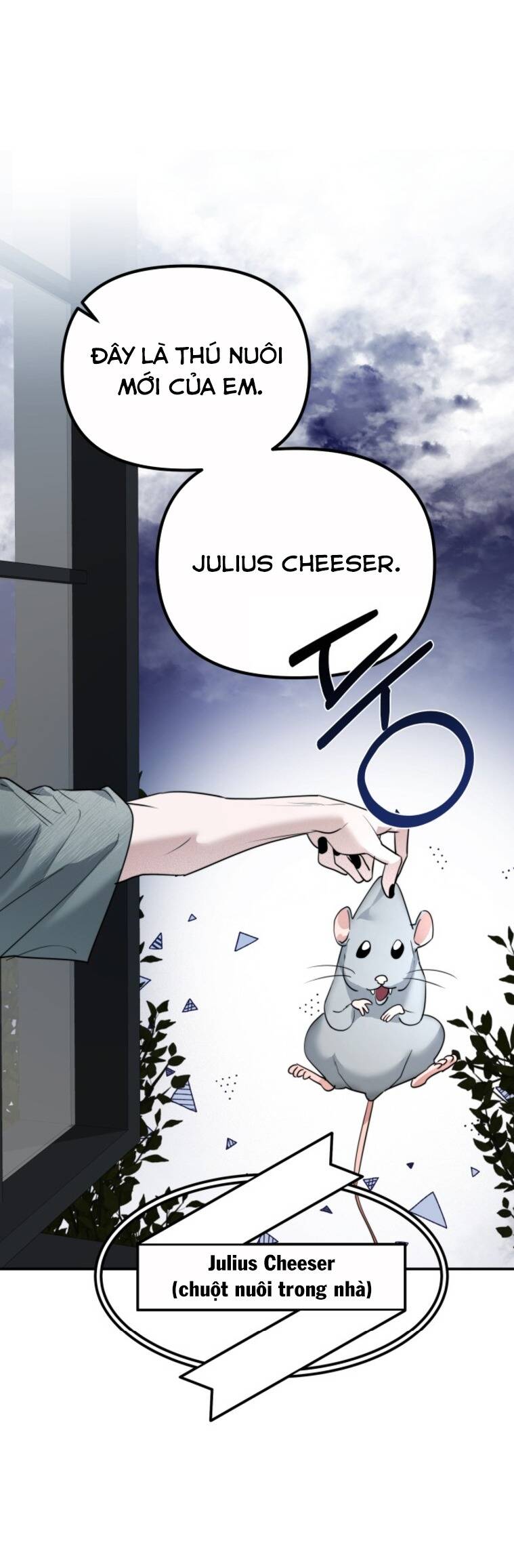 Chị Em Nhà Ki Chap 12 - Next Chap 13